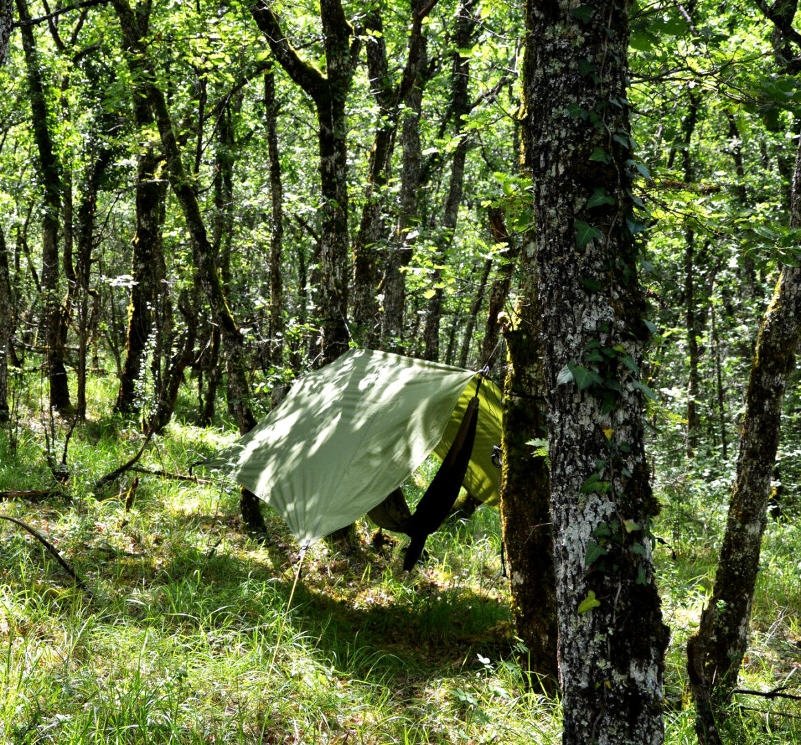 Camping – en