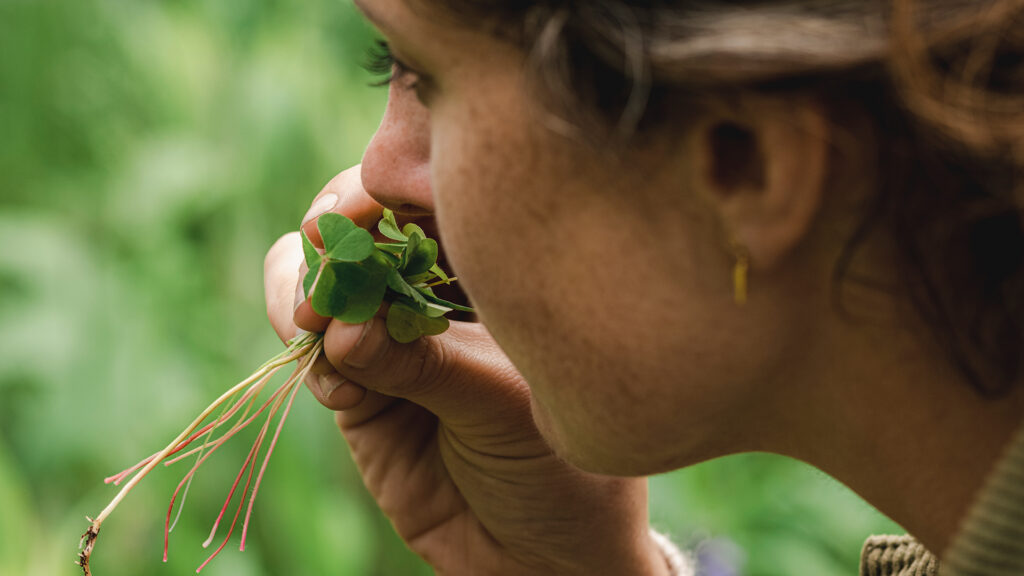 description restaurant